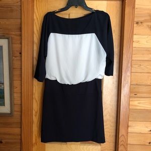 LOFT Navy & Cream Colorblock Dress